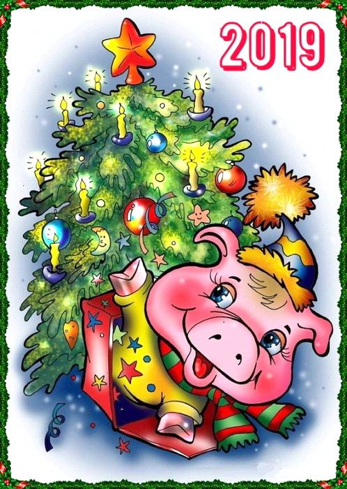 Как и в чём встречать Новый год свиньи?
