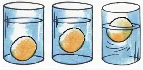 Яйца опустили в стакан с водой